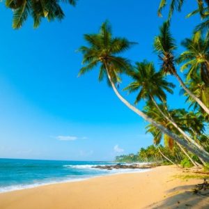 sri lanka Saffet Emre Tonguç sri lanka Saffet Emre Tonguç