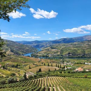 Douro Vadisi Saffet Emre Tonguç Douro Vadisi Saffet Emre Tonguç