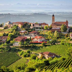 Piemonte Saffet Emre Tonguç Piemonte Saffet Emre Tonguç